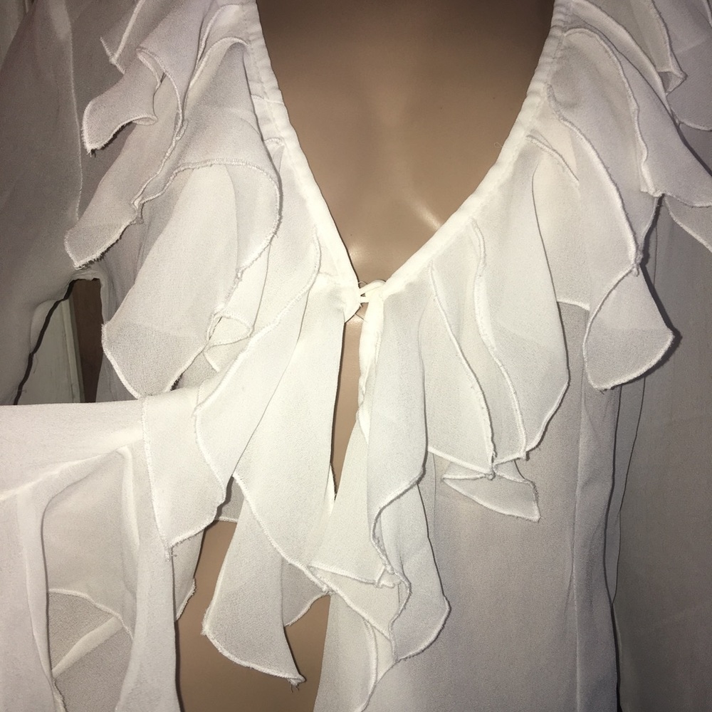 Gorgeous Sheer Ruffle Blouse - Picture 6 of 8